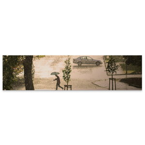 A[gpl ChTCY widesize  G G  1200mmx300mm tHg Ǌ| ؘg CeA  A[g J@i@P@023545