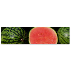 A[gpl ChTCY widesize  G G  1200mmx300mm tHg Ǌ| ؘg CeA  A[g XCJ@ʕ@t[c@023561