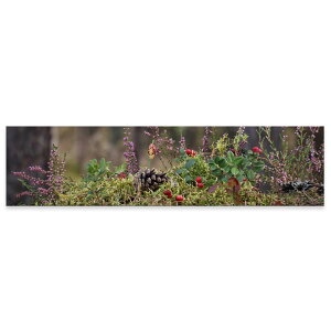 A[gpl ChTCY widesize  G G  1200mmx300mm tHg Ǌ| ؘg CeA  A[g H@A@@023583
