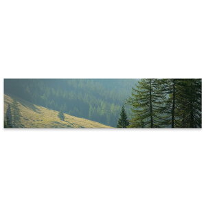 A[gpl ChTCY widesize  G G  1200mmx300mm tHg Ǌ| ؘg CeA  A[g iF@R@؁@023604