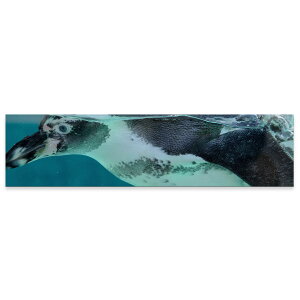 A[gpl ChTCY widesize  G G  1200mmx300mm tHg Ǌ| ؘg CeA  A[g yM@@@023661