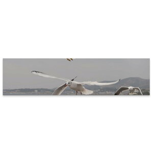 A[gpl ChTCY widesize  G G  1200mmx300mm tHg Ǌ| ؘg CeA  A[g J@@@023776