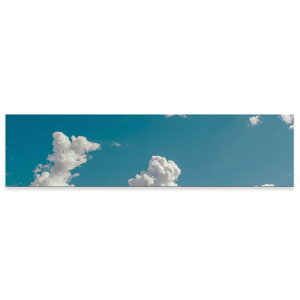 A[gpl ChTCY widesize  G G  1200mmx300mm tHg Ǌ| ؘg CeA  A[g @_@ʐ^@023801