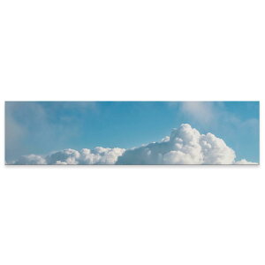 A[gpl ChTCY widesize  G G  1200mmx300mm tHg Ǌ| ؘg CeA  A[g @_@ʐ^@023802