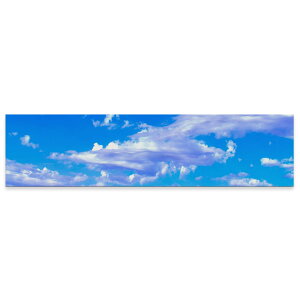 �A�[�g�p�l�� ���C�h�T�C�Y widesize ���� �G �G�� ���� 1200mmx300mm �t�H�g �Ǌ|�� �ؘg �C���e���A ������� �A�[�g ��@�_�@�ʐ^�@023803