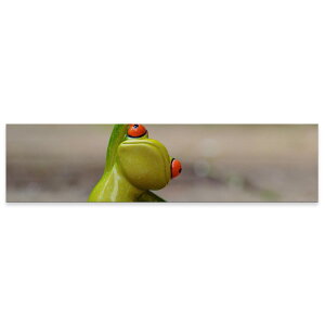 A[gpl ChTCY widesize  G G  1200mmx300mm tHg Ǌ| ؘg CeA  A[g JG@^@023822