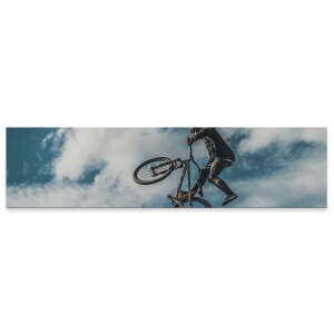 A[gpl ChTCY widesize  G G  1200mmx300mm tHg Ǌ| ؘg CeA  A[g gNX@]ԁ@@023824