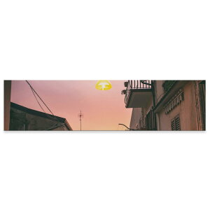 A[gpl ChTCY widesize  G G  1200mmx300mm tHg Ǌ| ؘg CeA  A[g [@ʐ^@X݁@023841