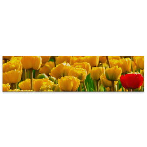A[gpl ChTCY widesize  G G  1200mmx300mm tHg Ǌ| ؘg CeA  A[g ԁ@t[@@023914