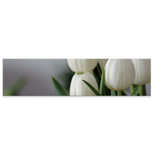 A[gpl ChTCY widesize  G G  1200mmx300mm tHg Ǌ| ؘg CeA  A[g ԁ@t[@`[bv@023916