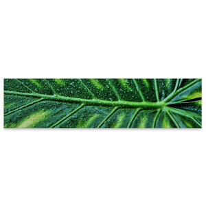 A[gpl ChTCY widesize  G G  1200mmx300mm tHg Ǌ| ؘg CeA  A[g Xe@tρ@023931