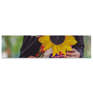 A[gpl ChTCY widesize  G G  1200mmx300mm tHg Ǌ| ؘg CeA  A[g ԁ@t[@Ђ܂@023963