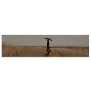 A[gpl ChTCY widesize  G G  1200mmx300mm tHg Ǌ| ؘg CeA  A[g l@P@023982