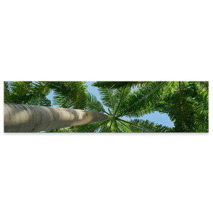 �A�[�g�p�l�� ���C�h�T�C�Y widesize ���� �G �G�� ���� 1200mmx300mm �t�H�g �Ǌ|�� �ؘg �C���e���A ������� �A�[�g ���R�@�t���ρ@�؁@�ā@025621