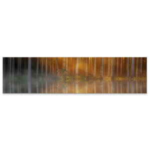 A[gpl ChTCY widesize  G G  1200mmx300mm tHg Ǌ| ؘg CeA  A[g Xс@R@΁@025679