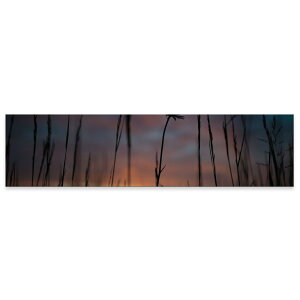A[gpl ChTCY widesize  G G  1200mmx300mm tHg Ǌ| ؘg CeA  A[g i@R@ԁ@025684