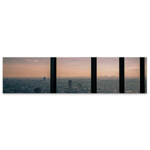 A[gpl ChTCY widesize  G G  1200mmx300mm tHg Ǌ| ؘg CeA  A[g @ss@i@025732