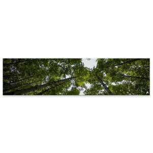 A[gpl ChTCY widesize  G G  1200mmx300mm tHg Ǌ| ؘg CeA  A[g R@Xс@؁@n[g@025739