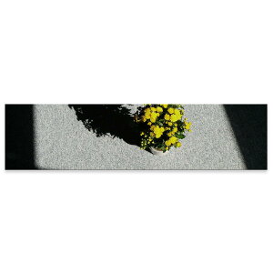 A[gpl ChTCY widesize  G G  1200mmx300mm tHg Ǌ| ؘg CeA  A[g A@ԁ@e@025757