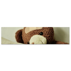 A[gpl ChTCY widesize  G G  1200mmx300mm tHg Ǌ| ؘg CeA  A[g ʂ݁@l`@N}@025770