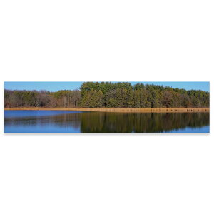 A[gpl ChTCY widesize  G G  1200mmx300mm tHg Ǌ| ؘg CeA  A[g R@iF@΁@025820