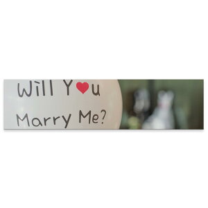 A[gpl ChTCY widesize  G G  1200mmx300mm tHg Ǌ| ؘg CeA  A[g EFfBO@v|[Y@D@025836