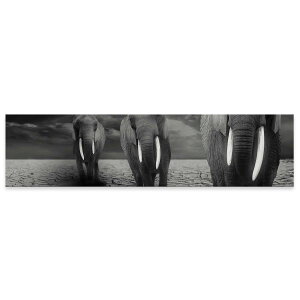 �A�[�g�p�l�� ���C�h�T�C�Y widesize ���� �G �G�� ���� 1200mmx300mm �t�H�g �Ǌ|�� �ؘg �C���e���A ������� �A�[�g �����@�]�E�@�@025853