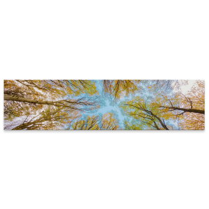 A[gpl ChTCY widesize  G G  1200mmx300mm tHg Ǌ| ؘg CeA  A[g Xс@؁@R@025927