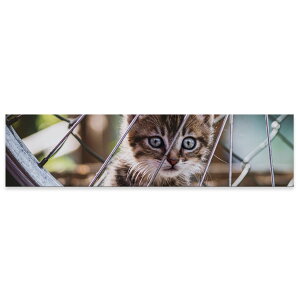 A[gpl ChTCY widesize  G G  1200mmx300mm tHg Ǌ| ؘg CeA  A[g @L@lR@ԗց@025949