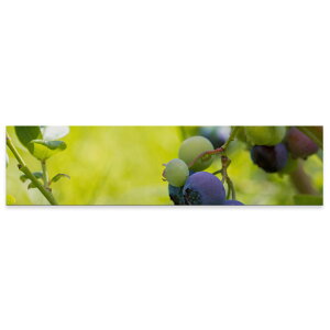 A[gpl ChTCY widesize  G G  1200mmx300mm tHg Ǌ| ؘg CeA  A[g ʕ@t[c@u[x[@026025