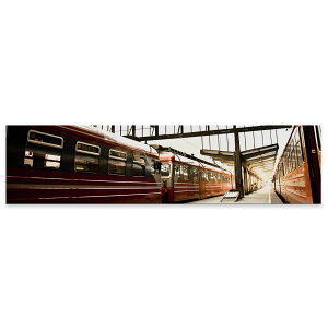 A[gpl ChTCY widesize  G G  1200mmx300mm tHg Ǌ| ؘg CeA  A[g dԁ@035957