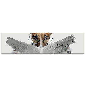 A[gpl ChTCY widesize  G G  1200mmx300mm tHg Ǌ| ؘg CeA  A[g ʐ^@@ʁ@V@007706
