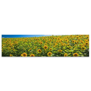 A[gpl ChTCY widesize  G G  1200mmx300mm tHg Ǌ| ؘg CeA  A[g ʐ^@ԁ@@@Ђ܂@007936