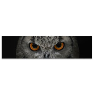 A[gpl ChTCY widesize  G G  1200mmx300mm tHg Ǌ| ؘg CeA  A[g ʐ^@tNE@@ubN@007937