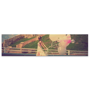 A[gpl ChTCY widesize  G G  1200mmx300mm tHg Ǌ| ؘg CeA  A[g ʐ^@l@D@@008383