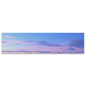 A[gpl ChTCY widesize  G G  1200mmx300mm tHg Ǌ| ؘg CeA  A[g i@iF@ʐ^@009377