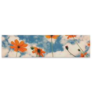 アートパネル ワイドサイズ widesize 横長 絵 絵画 飾り 1200mmx300mm フォト 壁掛け 木枠 インテリア おしゃれ アート  空 写真 オレンジ 009446