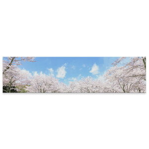 A[gpl ChTCY widesize  G G  1200mmx300mm tHg Ǌ| ؘg CeA  A[g @@@ʐ^@009459