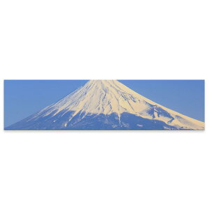 A[gpl ChTCY widesize  G G  1200mmx300mm tHg Ǌ| ؘg CeA  A[g xmR@i@iF@ʐ^@009599