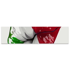 A[gpl ChTCY widesize  G G  1200mmx300mm tHg Ǌ| ؘg CeA  A[g O@@pN@009625
