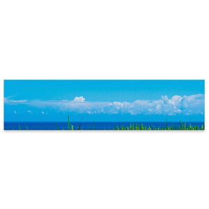 A[gpl ChTCY widesize  G G  1200mmx300mm tHg Ǌ| ؘg CeA  A[g i@@C@ʐ^@009748