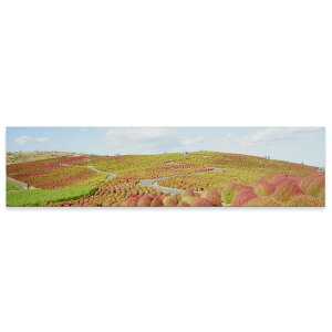 A[gpl ChTCY widesize  G G  1200mmx300mm tHg Ǌ| ؘg CeA  A[g i@iF@ʐ^@009816