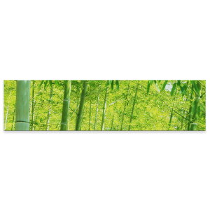 A[gpl ChTCY widesize  G G  1200mmx300mm tHg Ǌ| ؘg CeA  A[g A@|с@ʐ^@010083