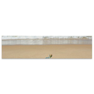 A[gpl ChTCY widesize  G G  1200mmx300mm tHg Ǌ| ؘg CeA  A[g C@l@ʐ^@010532