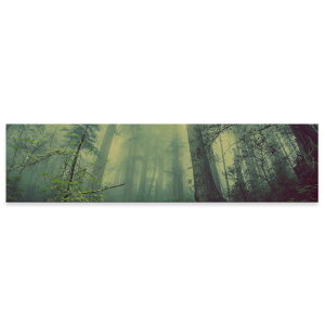 A[gpl ChTCY widesize  G G  1200mmx300mm tHg Ǌ| ؘg CeA  A[g X ʐ^@018322