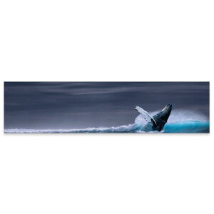 A[gpl ChTCY widesize  G G  1200mmx300mm tHg Ǌ| ؘg CeA  A[g ʐ^ C NW@018334