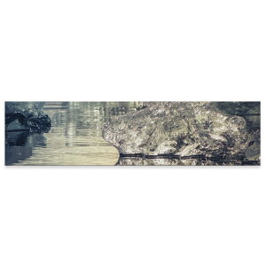 A[gpl ChTCY widesize  G G  1200mmx300mm tHg Ǌ| ؘg CeA  A[g ʐ^ ΁@018344