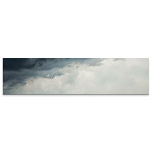 �A�[�g�p�l�� ���C�h�T�C�Y widesize ���� �G �G�� ���� 1200mmx300mm �t�H�g �Ǌ|�� �ؘg �C���e���A ������� �A�[�g �C �_ �ʐ^�@018351