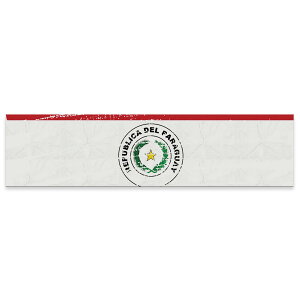 アートパネル ワイドサイズ widesize 横長 絵 絵画 飾り 1200mmx300mm フォト 壁掛け 木枠 インテリア おしゃれ アート paraguay パラグアイ 018535