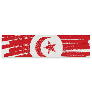 A[gpl ChTCY widesize  G G  1200mmx300mm tHg Ǌ| ؘg CeA  A[g tunisia `jWA@018585